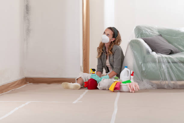 Reliable Black Mold Removal contractor in Kenvil, NJ by WQB Mold Removal
